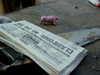Pig and Paper and Saw